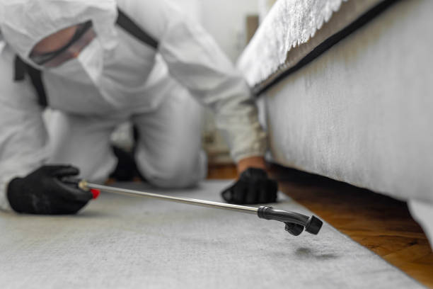 Professional Cockroach Control technician working in Redwood City, CA