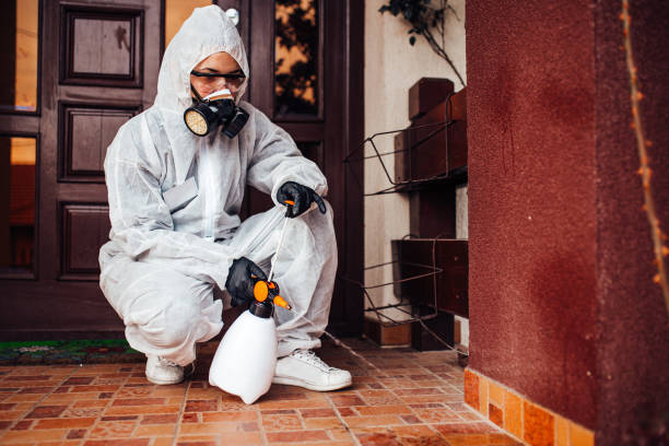 Reliable Cockroach Control contractor in Redwood City, CA by Nex Pest Control